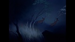 Image Bambi