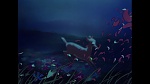Bambi picture