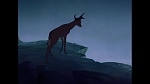Image Bambi