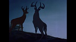 Image Bambi