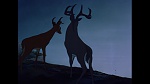 Image Bambi