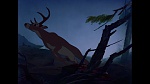 Image Bambi
