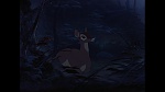 Image Bambi