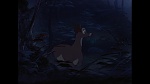 Image Bambi