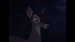 Image Bambi