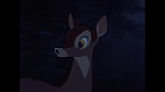 Bambi picture