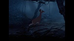 Image Bambi