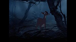 Image Bambi