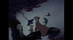 Bambi picture