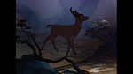 Image Bambi
