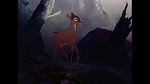 Image Bambi