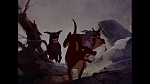 Bambi picture