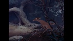Image Bambi