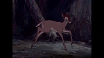 Image Bambi
