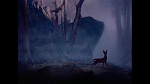 Image Bambi