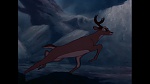 Image Bambi