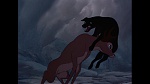 Image Bambi