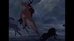 Image Bambi