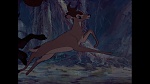 Image Bambi