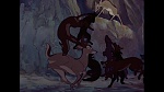 Image Bambi