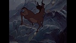 Image Bambi