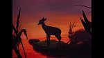 Image Bambi