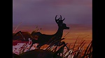 Image Bambi