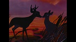 Image Bambi