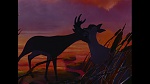 Image Bambi