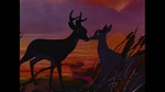 Image Bambi