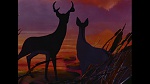 Bambi picture