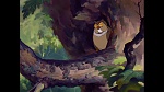 Image Bambi