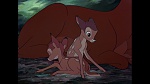 Image Bambi