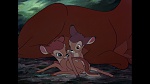 Image Bambi