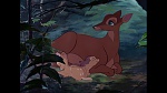 Bambi picture