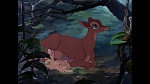 Bambi picture