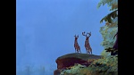 Bambi picture