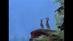 Bambi picture