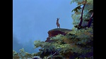 Bambi picture