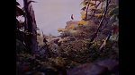 Bambi picture