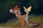 Présentation générale de Bambi 2 