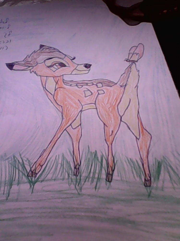 My first try at Bambi (I guess)