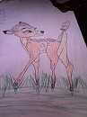 My first try at Bambi (I guess)