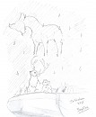 Nuit étoilée
