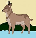 Karus's Re-Design