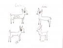 Doe fawns of the silver herd