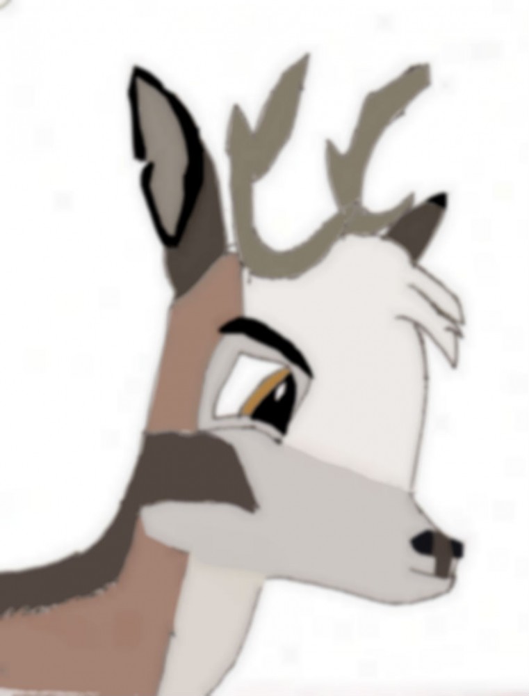 Gifty for Saske, Tuktu drawing!