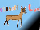 Lumi 2013 reference sheet