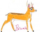 Art trade with JetxLucy, Bramble