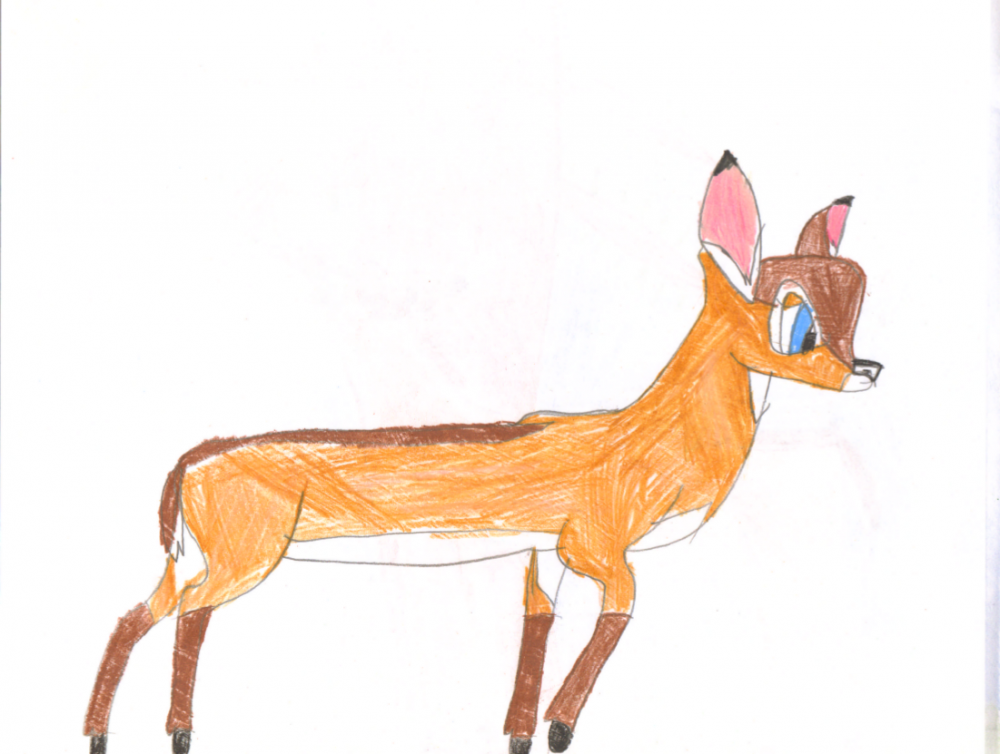 Fawna